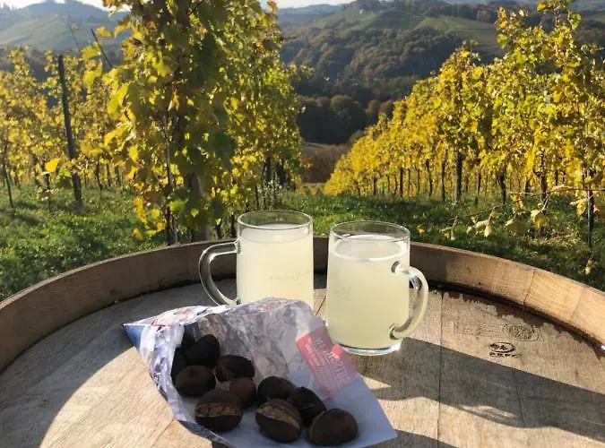 Zur Schmied'n شقة إيهرينهاوزين