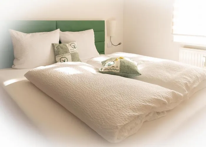 Zur Schmied'n شقة *